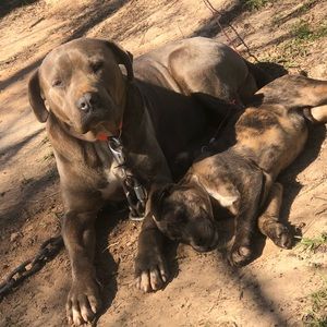 Meet your Posher, Bobby